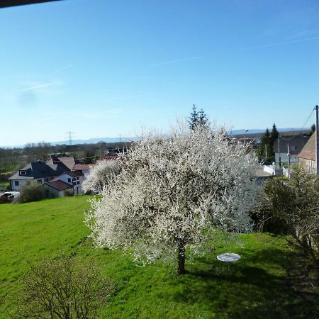 Albrecht guest apartement Kembs Exterior foto