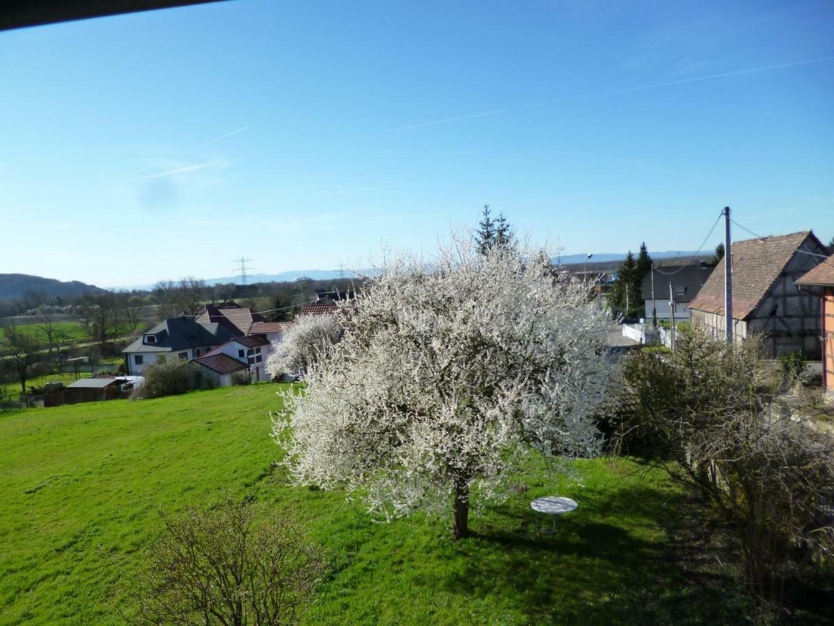 Albrecht guest apartement Kembs Exterior foto